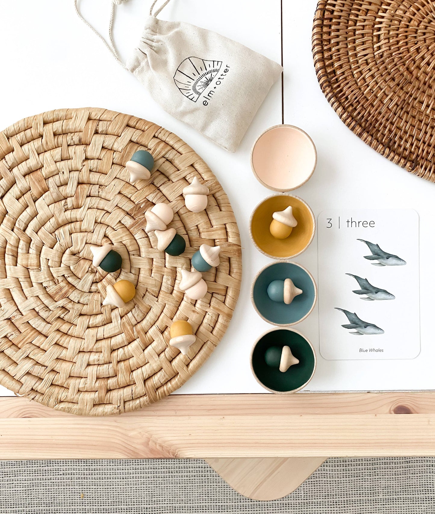 Acorn Sorting Set | Muted Tones