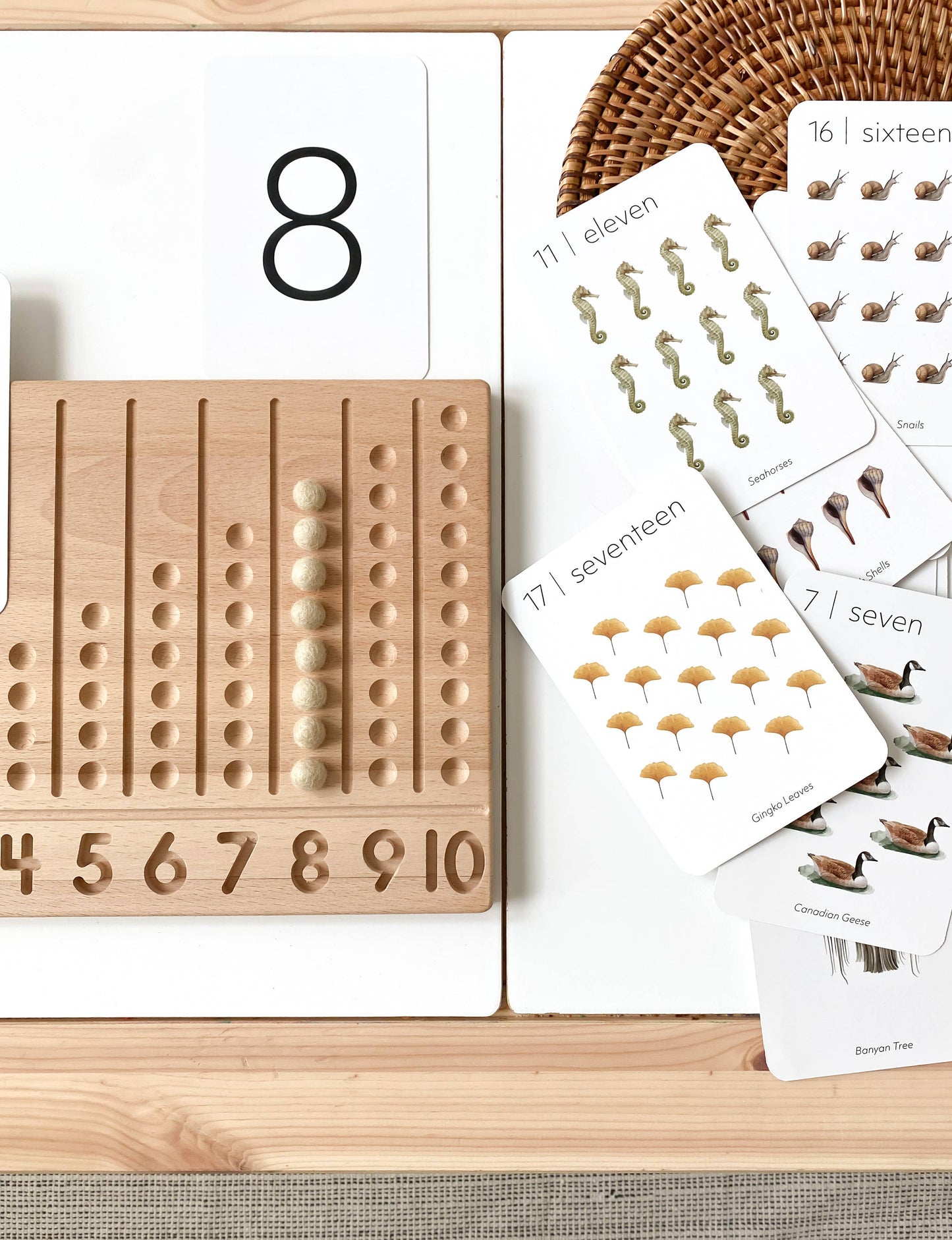 Nature 123 Flash Cards